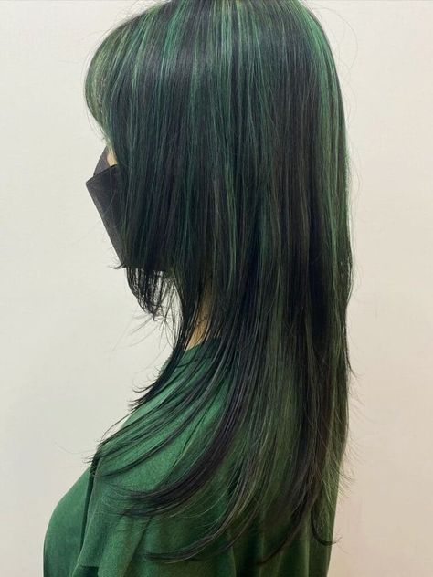 black hair with green highlights Black With Dark Green Highlights, Black Hair Coloured Streaks, Blue Black Hair With Silver Highlights, Turquoise Highlights On Black Hair, Green And Black Chunky Highlights, Black With Green Highlights Hair, Green Hair With Black Highlights, Blue And Green Highlights In Black Hair, Colored Hair With Black