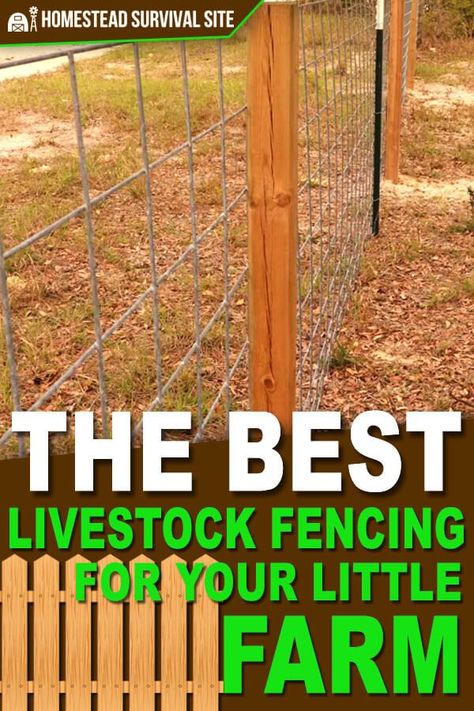 To contain your livestock, you need a fence that is sturdy, long-lasting, and easy to build. Here's what you should get. #homesteadsurvivalsite #livestock #homestead #fencing #farm Cheap Cattle Fence Ideas, Diy Livestock Fence, Easy Goat Fencing, Livestock Fencing Ideas, Easy Goat Fence, Livestock Fence Ideas, Farm Fence Ideas Country Life, Homestead Fencing, Farm Fence Ideas