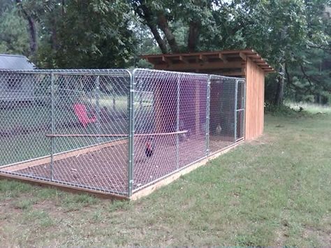 Good instructions BYC Chicken Run With Dog Kennel, Chicken Coop Using Dog Kennel, Chicken Coop Out Of Dog Pen, Chicken Coop With Dog Kennel Run, Dog Run Chicken Coop Ideas, Dog Kennel Turned Chicken Coop, Dog Pen Chicken Coop Ideas, Dog Kennel Chicken Run, Dog Pen Chicken Coop