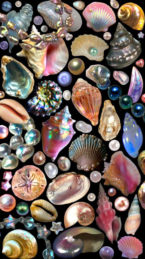 🐚✨#wallpaper #collage #seashells #pearls ￼#aesthetic Kawaii, Pearls Aesthetic Wallpaper, Pearls Aesthetic, Aesthetic Artsy, Pearl Wallpaper, Beach Wall Collage, 3d Wallpaper Iphone, Persian Art Painting, Wallpaper Collage