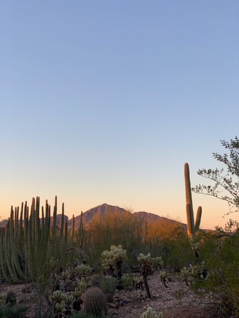 Bonito, Nature, Arizona Aesthetic, Arizona Mountains, Arizona Sunset, Desert Dream, Desert Vibes, Pretty Landscapes, Open Sky