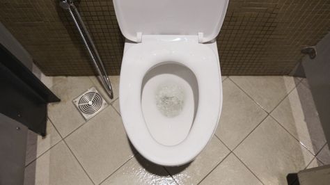 Dubai, UAE  #toilet #john # porcelainthrone Remove Urine Smell, Toilet Rules, Wood Floor Bathroom, Public Restrooms, Urine Smells, Toilet Mat, Public Restroom, Bathroom Smells, Toilet Cleaner