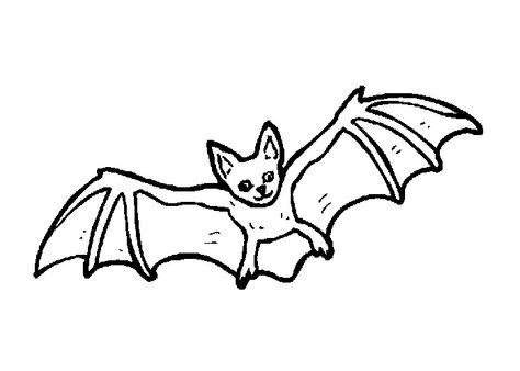 Draw A Bat, Halloween Coloring Pictures, Bat Images, Bat Coloring Pages, Bat Animal, Scary Animals, Bat Halloween, Colouring Printables, Halloween Bat