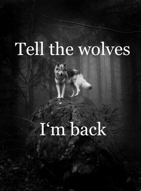 Wolf Quotes Alpha, Wolf Qoutes, Wolves Quotes, Alpha Quotes, Wolf Pack Quotes, Lone Wolf Quotes, Alpha Wolf, Wolf Quotes, Wolf Spirit Animal