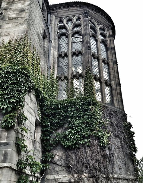 Scottish Castles, Aberdeen University, University Of Aberdeen, Scotland Aesthetic, Dark Naturalism, Edinburgh University, Aberdeen Scotland, Orkney Islands, England And Scotland