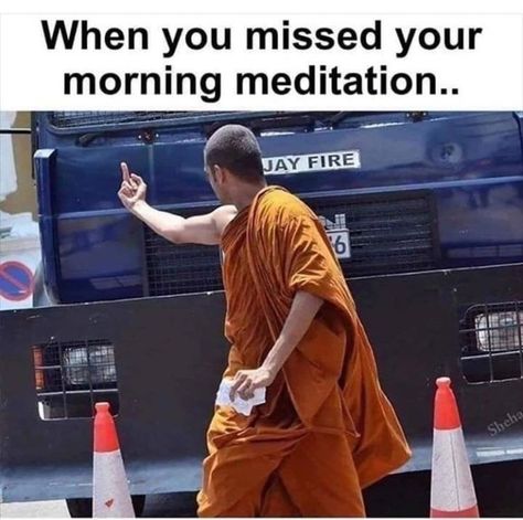 When you missed your morning meditation #spiritual #meditation Work Humour, Health Memes, Morning Meditation, Joke Of The Day, Jokes Pics, Funny Relatable Quotes, E Card, Work Humor, Sarcastic Quotes