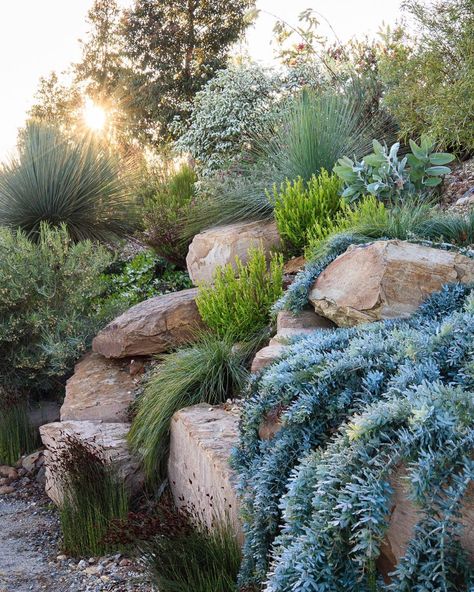 Joanna Gaines Backyard, Japanese Garden Modern, Adding Trees To Backyard, Symmetrical Landscape Design, Modern Rockery Garden Ideas, Mountain Landscaping Ideas, Front Yard Pathway, Boulder Steps, California Landscaping