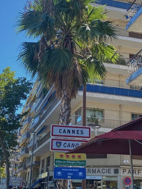 #cannes #travel #summer #cotedazur #france #southoffrance #aesthetic Bonito, South Of France Cannes, Cannes Aesthetic Beach, France Cannes Aesthetic, Cote Dazur French Riviera, Cote D’azur Aesthetic, Cannes France Aesthetic, Cote D'azur, French Summer Aesthetic