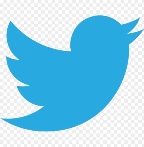 Logo Twitter Png, Twitter Logo Png, Twitter Icon Aesthetic, Twitter Icon Png, Twitter Png, Logo White Background, Logo Twitter, New Instagram Logo, Student Images