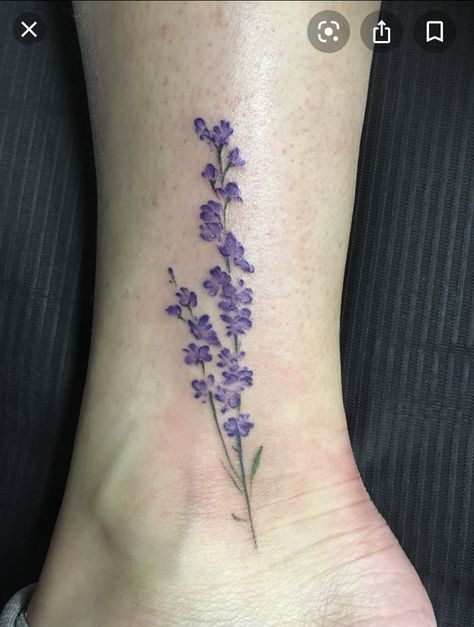 Larkspur Tattoo Color, Delphinium Flower Tattoo, Larkspur Flower Tattoo, Delphinium Tattoo, Larkspur Flower Tattoos, Larkspur Tattoo, Delphinium Flower, Water Lily Tattoos, Larkspur Flower