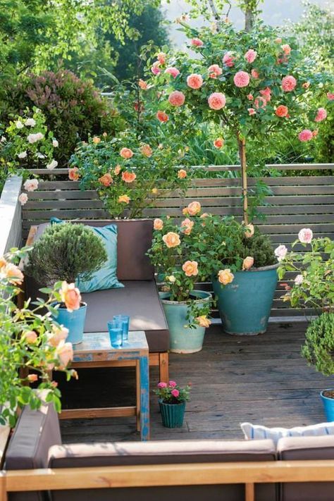 Balkon Decor, Balcony Design Ideas, Exquisite Gardens, Small Balcony Garden, Desain Lanskap, Growing Roses, Rooftop Garden, Small Garden Design, Courtyard Garden