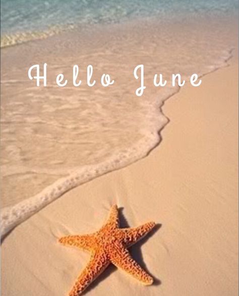 Welcome June Images, June Background, Daily Knowledge, June Wallpaper, June Design, June Pictures, June Gemini, Welcome June, New Month Quotes