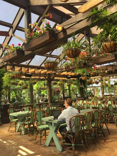 Backyard Restaurant, Greenhouse Restaurant, Greenhouse Cafe, Outdoor Restaurant Patio, The Grounds Of Alexandria, Outdoor Restaurant Design, Coffee Shop Interior Design, Restaurant Patio, Coffee Shops Interior