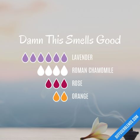 Blend Recipe: 6 drops Lavender, 4 drops Roman Chamomile, 3 drops Rose, 2 drops Orange Essential Oil Perfumes Recipes, Essential Oil Combinations, Magia Das Ervas, Essential Oil Diffuser Blends Recipes, Essential Oil Remedy, Essential Oils Guide, Smells Good, Essential Oils Health, Essential Oil Diffuser Recipes