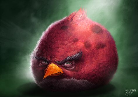 Sam Spratt — Black Bird Putao, Realistic Angry Birds, Angry Birds Funny, Angry Birds Characters, Red Angry Bird, Bird Meme, Got Memes, Angry Bird, Red Birds