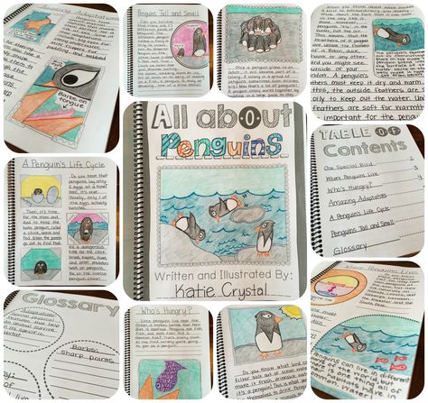 My ANIMAL RESEARCH PROJECT! Students create their own nonfiction books in this informational writing unit. Fourth Grade Science, Writing Project Ideas, Informational Writing 4th Grade, Animal Research Project, Animal Report, Animal Research, Third Grade Writing, 3rd Grade Writing, Writing Projects