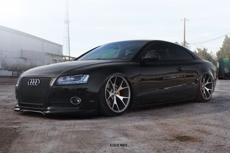 Updated Face of Black Audi A5 with Custom Mesh Grille Custom Audi, Cadillac Cts Coupe, Audi Lamborghini, A5 Coupe, Audi A5 Coupe, Car Modified, Luxury Cars Audi, Black Audi, New Luxury Cars