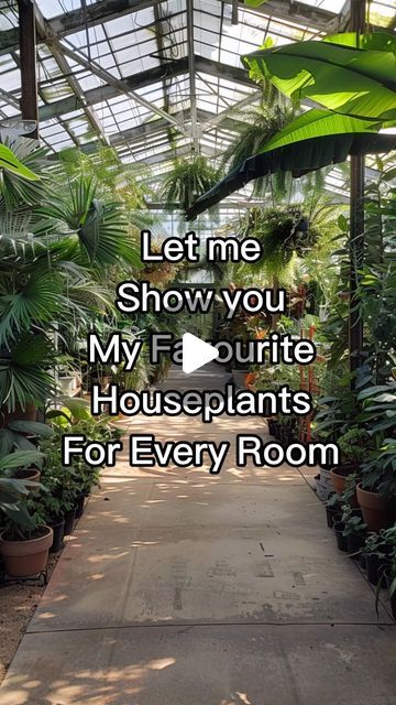 Indoor Plant Interior Design, Places To Put Plants Indoors, Sunroom With Plants Ideas, House Plant Inspiration, Decorating With Houseplants, Devils Ivy Indoor Ideas, Indoor Jungle Living Room, Cool Plants Indoor, Big House Plants Indoor