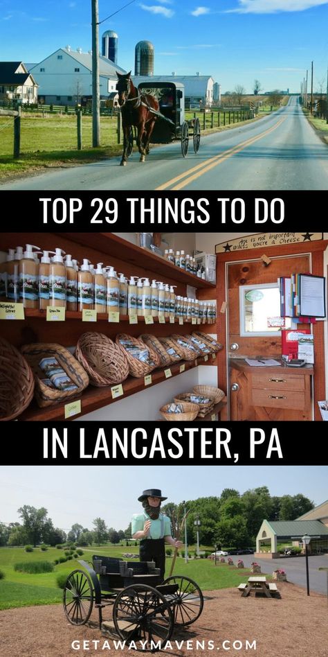 Escape to the picturesque beauty of Lancaster, PA, and immerse yourself in the rich culture of Amish Country! Explore our awesome list of 29+ things to do, guaranteed to make your getaway unforgettable. From experiencing the simplicity and charm of Amish life to discovering historical landmarks, indulging in delicious homemade treats, and exploring vibrant local markets, this guide will help you create lifelong memories in the heart of Pennsylvania Dutch Country. Check the blog for the details. Things To Do In Lancaster County Pa, Lancaster Pennsylvania Things To Do In, Lancaster Pa Things To Do In, Things To Do In Lancaster Pa, Amish Country Pa, Amish Country Lancaster Pa, Things To Do In Pennsylvania, Pennsylvania Amish Country, Amish Town