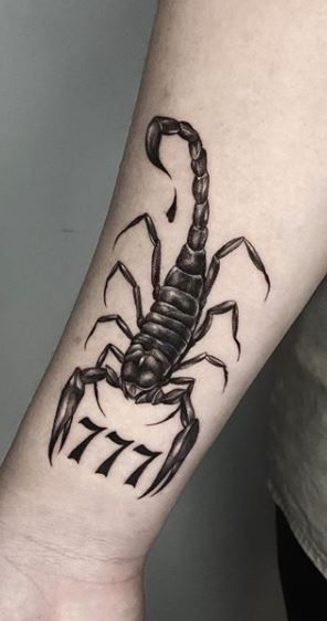 Tattoo Of Scorpion, Dragon And Scorpion Tattoo, Tattoos Of Scorpions, Scorpion Forearm Tattoo For Men, Scorpion Tattoo For Men Leg, Dark Scorpion Tattoo, Scorpion Tattoos Men, Scorpion And Snake Tattoo, Mens Scorpion Tattoo