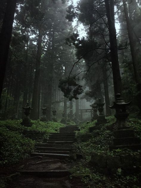 Kamishikimi Kumano Shrine, Kumamoto Japan. 上色見熊野座神社. 小川/Bach sacha photography. | Dark green aesthetic, Nature aesthetic, Slytherin aesthetic Paradis Sombre, Foto Muro Collage, Dark Fairycore, Dark Forest Aesthetic, Dark Naturalism, Dark Green Aesthetic, Slytherin Aesthetic, 다크 판타지, Dark Paradise