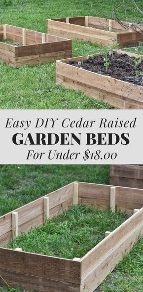 Gardening Beds, Green Bed, Vegetable Garden Beds, Diy Container Gardening, Cedar Raised Garden Beds, Raised Vegetable Gardens, Cedar Garden, Building Raised Garden Beds, Vegetable Bed