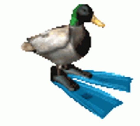 Duck Flipper GIF - Duck Flipper Spin - Discover & Share GIFs Spinning Fish Gif, Moving Pfp Gif, Background Gif For Edits, Cursed Gif, Goofy Stickers, Goofy Gif, Pixel Duck, Spinning Gif, Weird Gifs