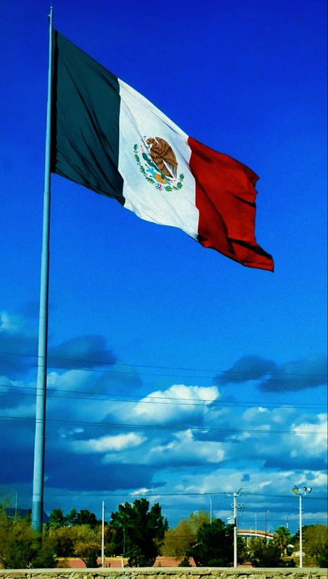 Minions, Redbull Wallpaper, Mexican Household, Hispanic Flags, Chapulin Colorado, Mexican Culture Art, Mexican Flag, Mexican Flags, Flag Country