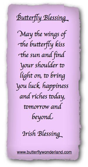 Grandchildren Quotes, Butterfly Poems, Vertrouw Op God, Quotes About Grandchildren, Butterfly Quotes, Irish Quotes, Blessed Quotes, Card Sentiments, Irish Blessing