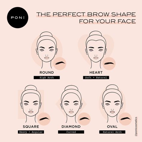 Eyebrows For Oval Face, Makeup Placement, Eyebrow For Round Face, Eyebrows For Face Shape, Bentuk Alis, Face Shapes Guide, Perfect Eyebrow Shape, Sulam Alis, Perfect Eyebrow