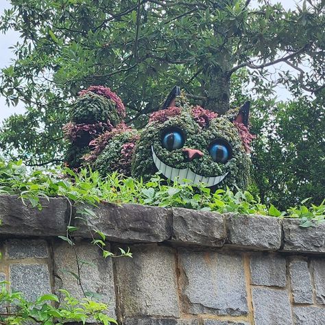 Alice in Wonderland display at the Atlanta botanical gardens 😍 #alice #aliceinwonderland #atlanta #georgia #family #memorialday #fun #roadtrip #beautiful #realestatelifestyle #Broker Alice In Wonderland Themed Garden, Atlanta Botanical Gardens, Alice In Wonderland Garden, Wonderland Garden, Disney Garden, Brooklyn Botanical Garden, Themed Garden, Atlanta Botanical Garden, Playground Design