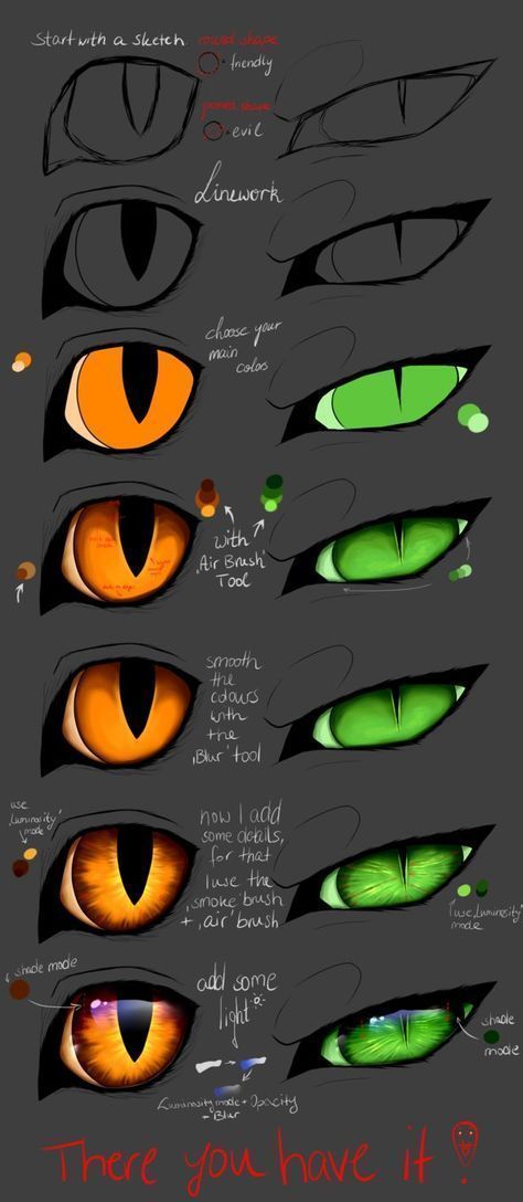 drawing reference, cats drawing reference, cat images, cat pictures, cat drawing tutorial, cat drawing ideas, cute cat, cat drawings simple, cat hand drawing, cat drawing realistic, cat eye drawing, cat drawing sketches, drawing cat . ... Warrior Cats Oc Maker, How To Draw Scales, 손 로고, Eyes Paint, Cat Eyes Drawing, Monster Cat, Cat Drawing Tutorial, Výtvarné Reference, Eye Drawing Tutorials