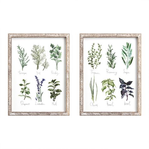 Vintage Wood Signs, Stars Wall Decor, Botanical Wall Decor, Rustic Wood Frame, Tree Wall Decor, Vintage Botanical Prints, Decor Bundle, Wooden Wall Decor, Herbs And Spices