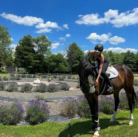 Los Angeles, Horse Girl Aesthetic, Bela Hadid, Hadid Instagram, Equestrian Riding, Brown Horse, Horse Crazy, Equestrian Life, Horse Life