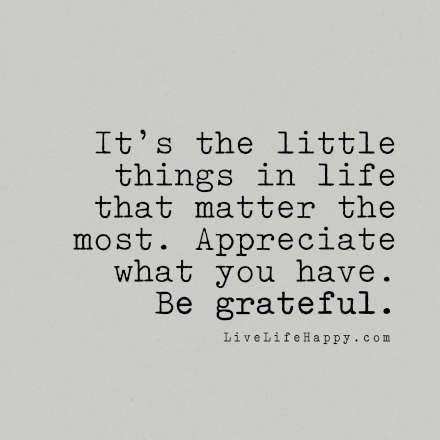 It’s the little things in life that matter the most. Appreciate what you have. Be grateful. livelifehappy.com Happy Life Quotes To Live By, Appreciate Life Quotes, Live Life Happy, Appreciate What You Have, Little Things Quotes, The Little Things In Life, Little Things In Life, Love Life Quotes, Life Quotes To Live By