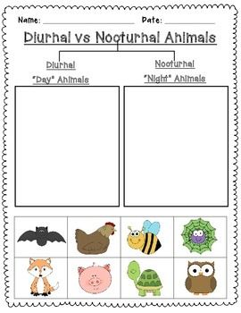 Nocturnal and Diurnal Animal Sort is a simple cut and paste activity to reinforce learning about day and night. Nocturnal Vs Diurnal Animals Preschool, Diurnal Animals Preschool, Nocturnal And Diurnal Animal Activities, Diurnal And Nocturnal Animals, Nocturnal Animals Preschool Crafts Art Projects, Nocturnal Animals Activities, Night Monkey, Diurnal Animals, Night Animals