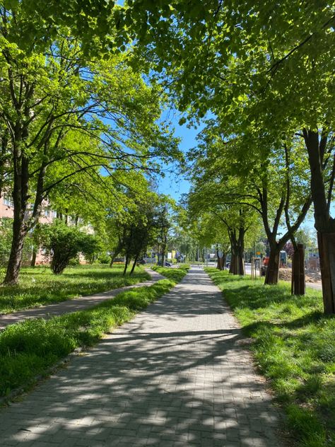 #citypark #park #aesthetic #green #tree #walk Stroll In The Park, Pavements Aesthetic, Spring Park Aesthetic, City Walking Aesthetic, Walkable City Aesthetic, School Green Aesthetic, Park Astethic, Green Park Aesthetic, Park Aesthetic Green