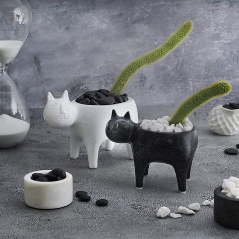 Product Of The Week: Cute Cat Planters Cat Planter, Clay Cat, Clay Cats, Cat Plants, Hanging Succulents, Concrete Crafts, Cute Sloth, House Plants Decor, Sculpting Clay