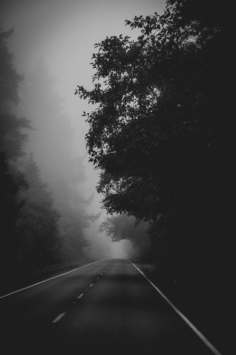 family road trip part 4: the olympic peninsula - Jamie Bannon Photography | Hartford, Connecticut Foggy Road, Family Road Trip, Hartford Connecticut, Olympic Peninsula, Short Story, Part 4, Connecticut, Road Trip, Road