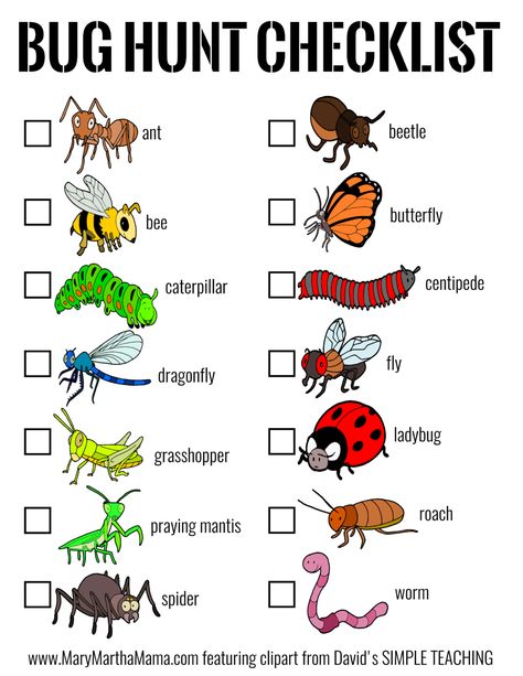 Bug Sensory Bin & Bug Hunt Printable – Mary Martha Mama Bug Sensory Activities, Bug Sensory Bin, Bug Habitat, Insects Theme Preschool, Bug Identification, Bug Hunt, Bug Activities, Insect Unit, Insects Preschool