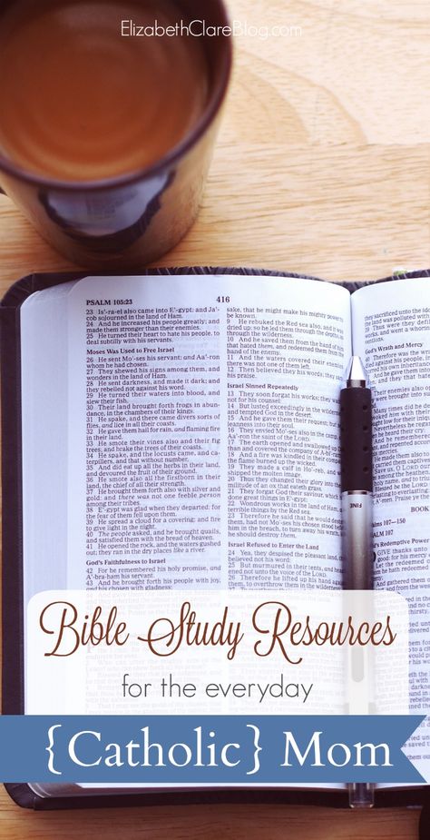 Great books, tools, and online resources for reading your Catholic Bible well even as a busy lay person! Bible Journaling Catholic, Catholic Bible Study For Beginners, Bible Study Resources, Catholic Bible Journaling, Catholic Bible Study, Lent Ideas, Mother Culture, Catholic Prayer Book, Catholic Homeschool