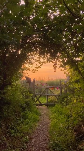 Nature, English Countryside Aesthetic, Sunset Garden, Countryside Photography, Country Sunset, Natural Beauty Recipes, Plant Pictures, Aesthetic Iphone, English Countryside