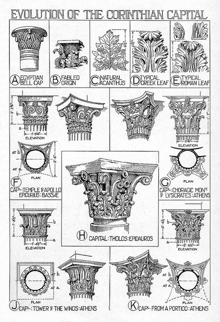 Architectural Orders: Corinthian order, reconstruction details Gothic Column, Pelan Rumah Kecil, Corinthian Order, Architecture Antique, Architectural Orders, Pelan Rumah, Greek Columns, Istoria Artei, Ancient Greek Architecture