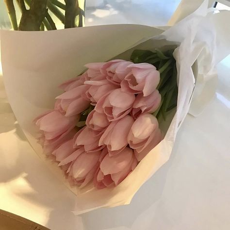 Bago, Istoria Artei, Boquette Flowers, Nothing But Flowers, Flower Therapy, Pink Tulips, Flower Aesthetic, Love Flowers, Pink Aesthetic
