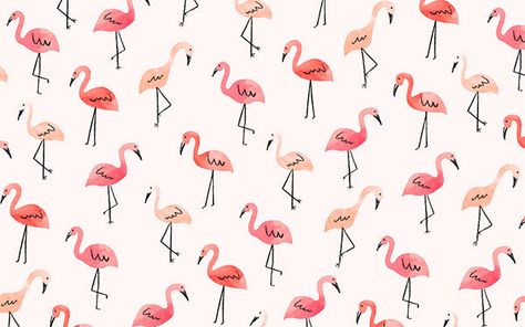 The cutest flamingo desktop wallpaper by Jen B. Peters for LaurenConrad.com Cute Computer Backgrounds, Cute Wallpapers For Computer, August Wallpaper, 컴퓨터 배경화면, Wallpaper Notebook, Flamingo Wallpaper, Laptop Wallpaper Desktop Wallpapers, Laptop Backgrounds, Cute Laptop Wallpaper