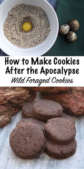 Survival Food Recipes, Foraged Food Recipes, Apocalypse Recipes, Wild Food Recipes, Survival Recipes, Wild Recipes, Wild Foraging, Wild Food Foraging, Foraging Recipes