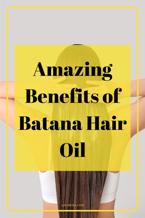 Discover the magic of Batana oil! Dive into our guide for healthier hair, revealing the wonders of Batana oil benefits. Learn how to nurture your locks and embrace a natural hair care routine for stunning results! Hair Oils For Healthy Hair, Botana Oil For Hair, How To Use Batana Oil For Hair Growth, Batana Oil Benefits Hair, Batana Oil Hair Growth, Batana Oil Hair, Batana Oil Before And After, Batana Oil Benefits, Oil Benefits For Hair