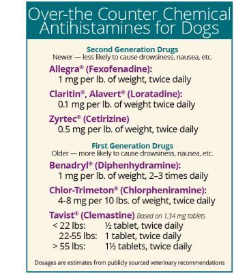 Dog Allergies Remedies, Dog Itching Remedies, Meds For Dogs, Pet Remedies, Itchy Dog, Dog Medicine, Dog Remedies, Medication For Dogs, Dog Pop