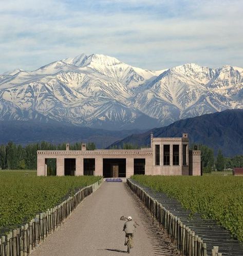 ""Finca y Bodega Belasco de Baquedano"" Mendoza, Argentina Visit Argentina, Vegas Hotel, Argentina Travel, Croatia Travel, Michelin Star, Nightlife Travel, Wine Tour, Malbec, Down South