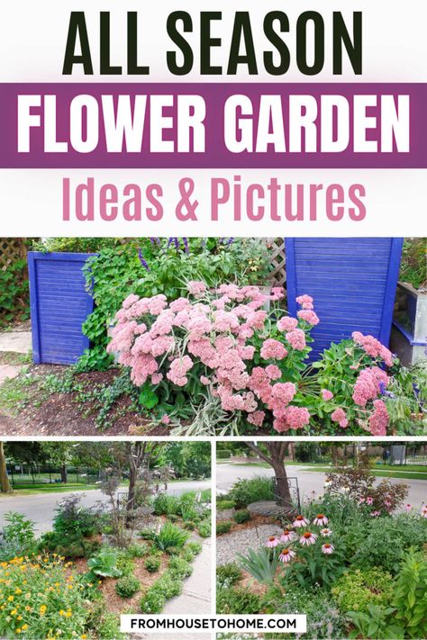 This flower garden tour has plant ideas to make your landscape design into an all season garden. A four season garden looks good all year round, and this one provides lots of garden pictures and inspiration. All Season Garden, Four Season Garden, Fall Landscaping Front Yard, Flower Garden Layouts, Fall Landscaping, Evergreen Bush, Front Lawn Landscaping, Front Garden Landscape, Landscaping Front Yard